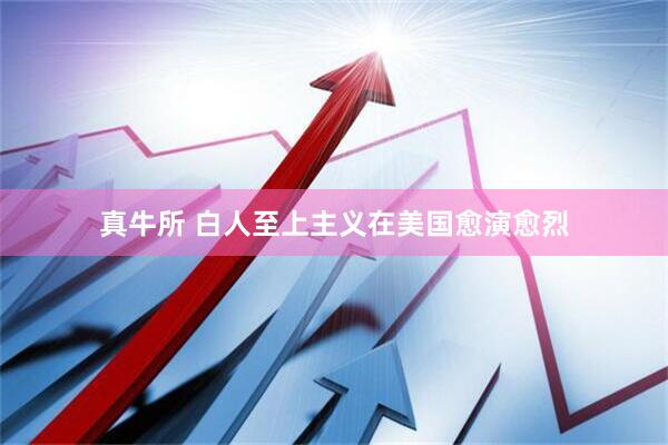 真牛所 白人至上主义在美国愈演愈烈