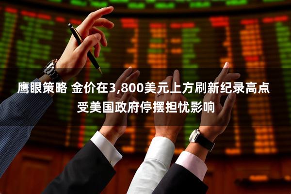 鹰眼策略 金价在3,800美元上方刷新纪录高点 受美国政府停摆担忧影响